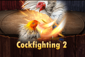 cockfighting2
