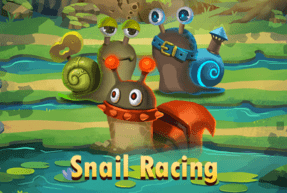 snailracing